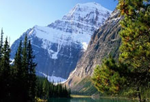 德羊入狼群！场面一阵莫测，谁将破后