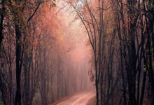 四川队王者归来，势不可挡再发威