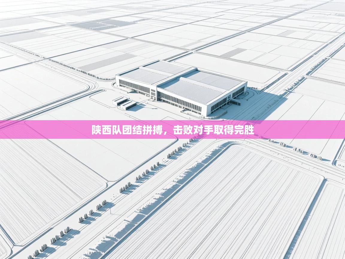 陕西队团结拼搏，击败对手取得完胜  第2张